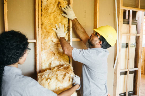 Best Spray Foam Insulation  in Woodlake, CA