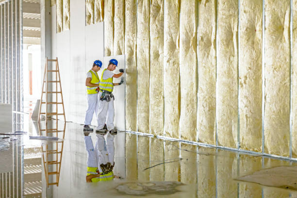 Eco-Friendly or Green Insulation Solutions in Woodlake, CA